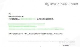 小程序最新独门爆料,颠覆传统，引领未来创新潮流